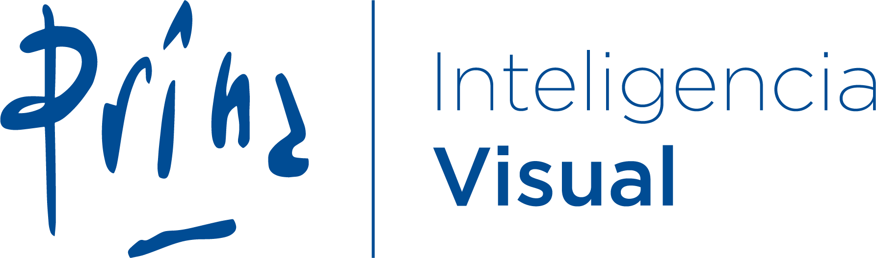 Prina — Inteligencia Visual