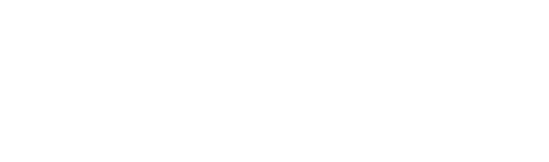 Prina — Inteligencia Visual